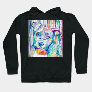 PIT BULL Watercolor portrait .7 Hoodie